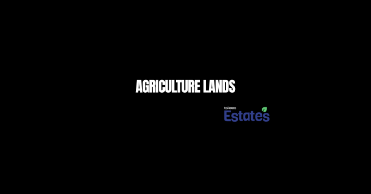 Agricultural land for sale showcasing green farmland suitable for farming and investment opportunities