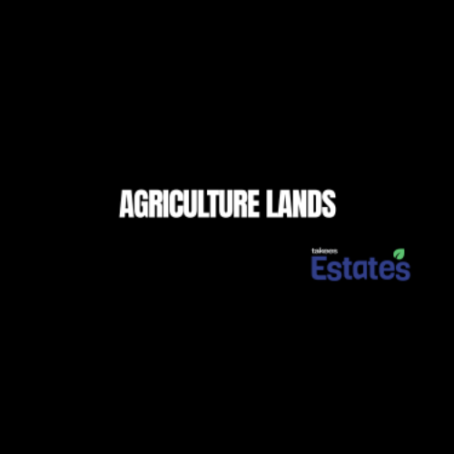 Agricultural land for sale showcasing green farmland suitable for farming and investment opportunities
