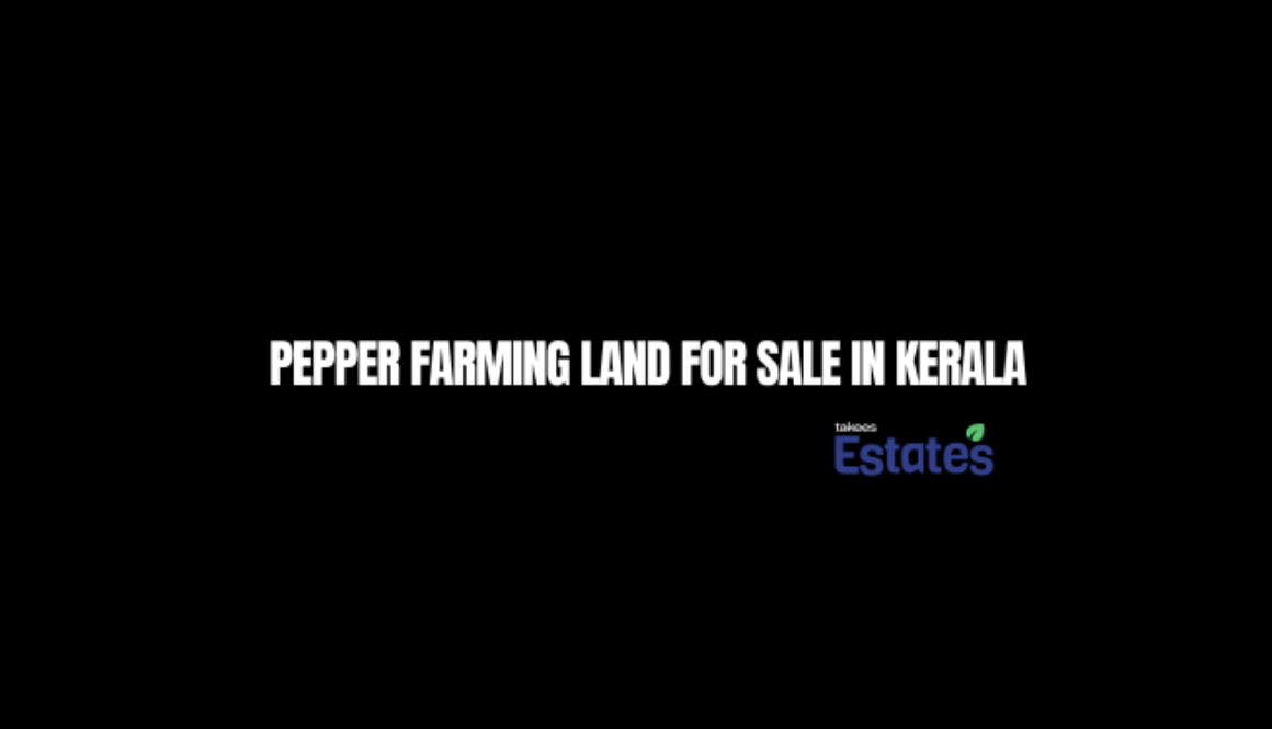 pepper farming land for sale in Kerala
