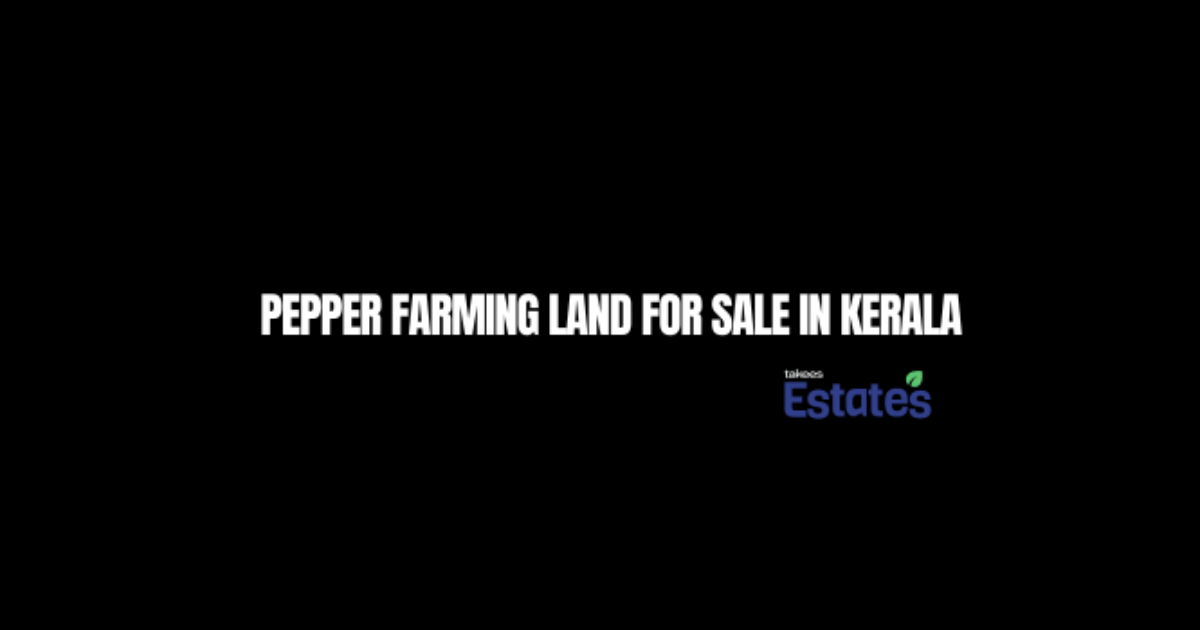pepper farming land for sale in Kerala