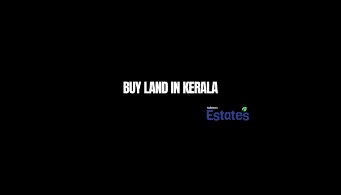 Lush green residential and agricultural land for sale in Kerala showcasing prime investment plots by Takees Estates