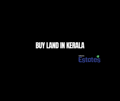 Lush green residential and agricultural land for sale in Kerala showcasing prime investment plots by Takees Estates