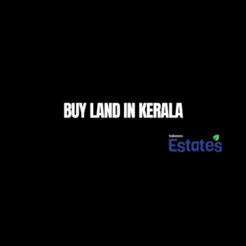 Lush green residential and agricultural land for sale in Kerala showcasing prime investment plots by Takees Estates