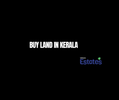 land for sale in kerala - Scenic green landscape in Kerala ideal for buying land