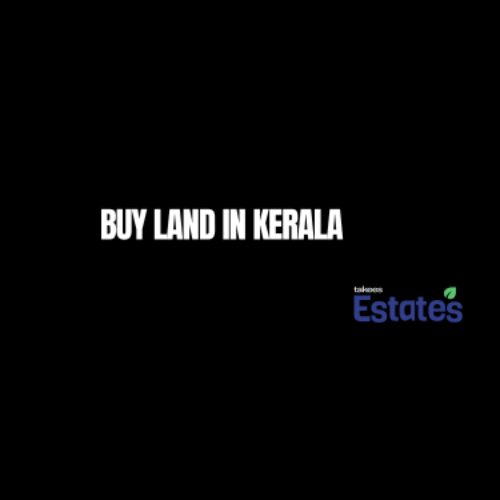 land for sale in kerala - Scenic green landscape in Kerala ideal for buying land