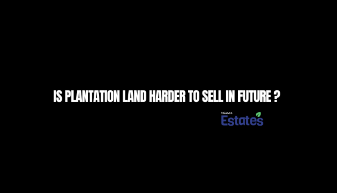 Is Plantation Land Harder to Sell in Future? Full Guide