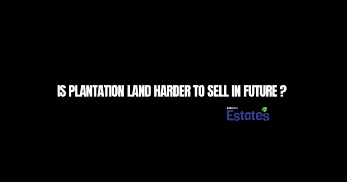 Is Plantation Land Harder to Sell in Future? Full Guide