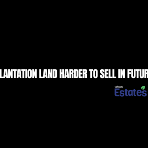 Is Plantation Land Harder to Sell in Future? Full Guide